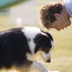 Psychology of Dog Behavior